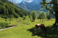 2015-07-01_1Pano-bei-Lacke (111).JPG